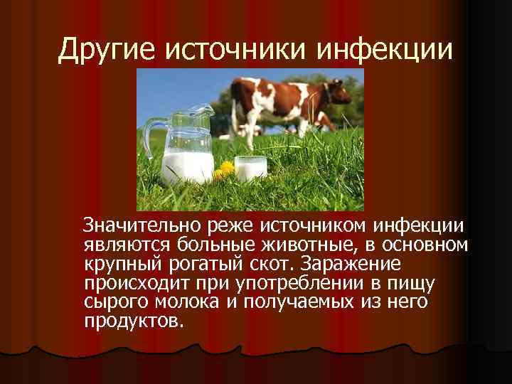 Другие источники инфекции Значительно реже источником инфекции являются больные животные, в основном крупный рогатый