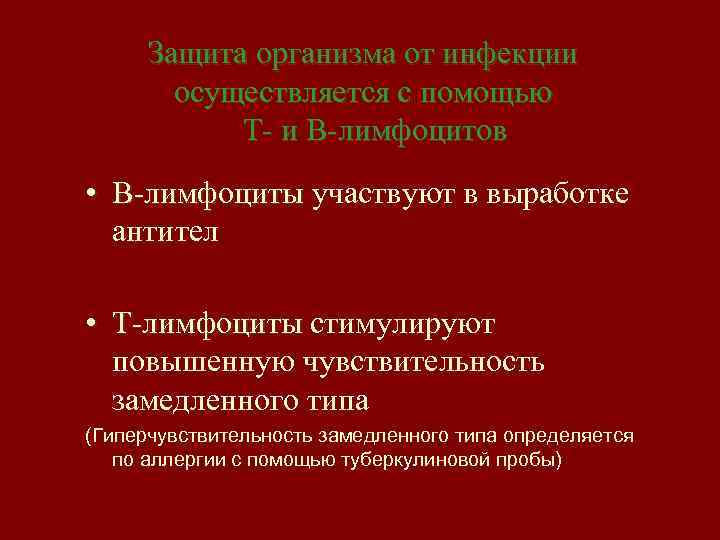 Защита организма от инфекции осуществляется с помощью Т- и В-лимфоцитов • В-лимфоциты участвуют в