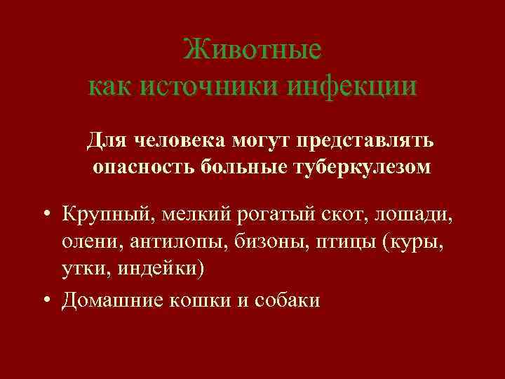 Животные как источники инфекции Для человека могут представлять опасность больные туберкулезом • Крупный, мелкий