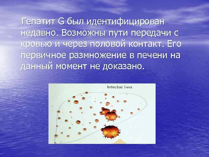 Гепатит G был идентифицирован недавно. Возможны пути передачи с кровью и через половой контакт.