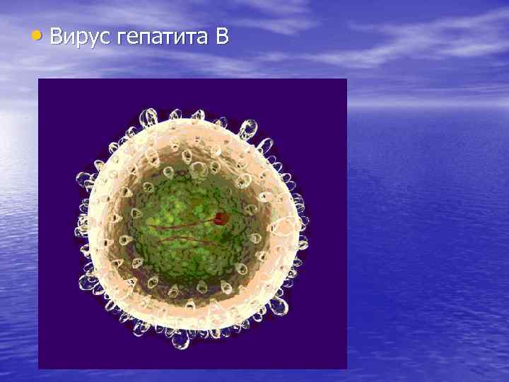  • Вирус гепатита В 