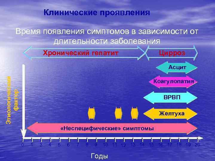 Клинические проявления Время появления симптомов в зависимости от длительности заболевания Хронический гепатит Цирроз Этиологический