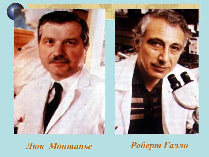 Люк Монтанье Роберт Галло 