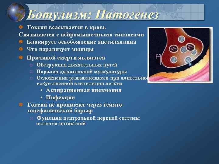 Ботулизм: Патогенез Токсин всасывается в кровь Связывается с нейромышечными синапсами Блокирует освобождение ацетилхолина Что