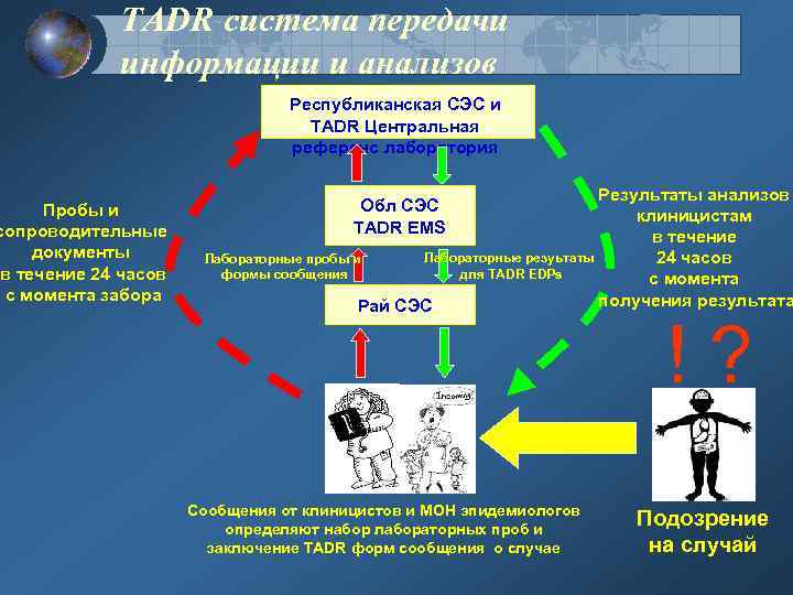 TADR система передачи информации и анализов Пробы и сопроводительные документы в течение 24 часов