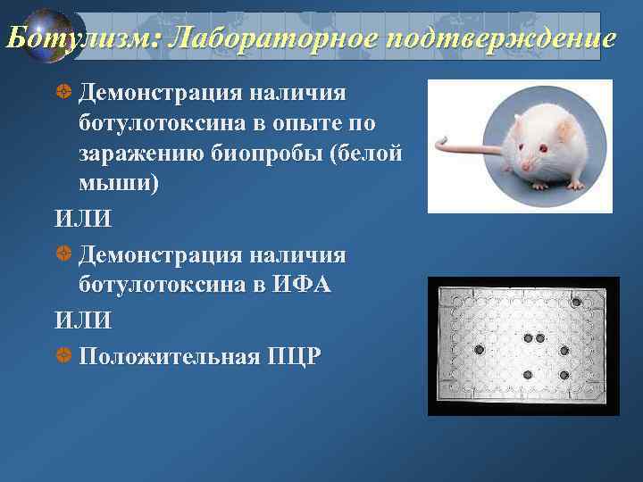 Ботулизм: Лабораторное подтверждение Демонстрация наличия ботулотоксина в опыте по заражению биопробы (белой мыши) ИЛИ