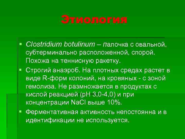 Этиология § Clostridium botulinum – палочка с овальной, субтерминально расположенной, спорой. Похожа на теннисную