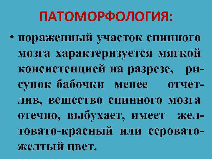 ПАТОМОРФОЛОГИЯ: • пораженный участок спинного мозга характеризуется мягкой консистенцией на разрезе, рисунок бабочки менее