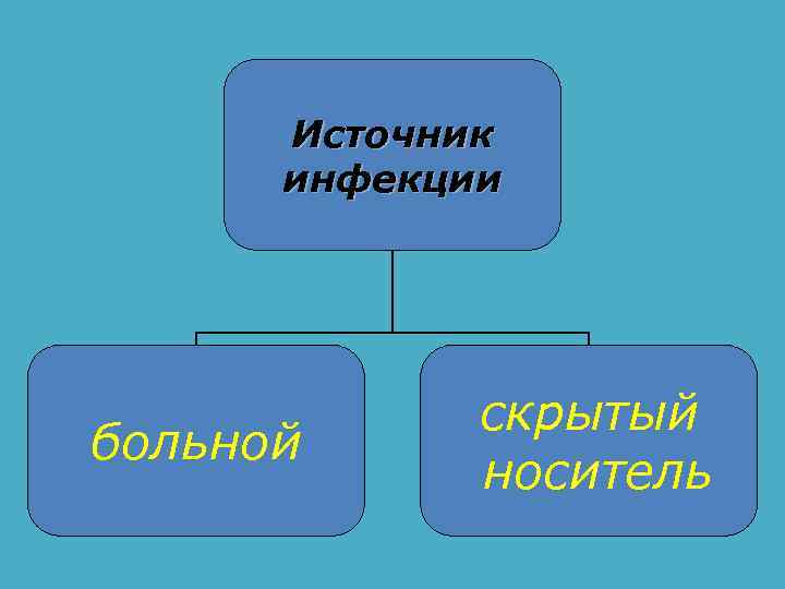 Источник инфекции больной скрытый носитель 