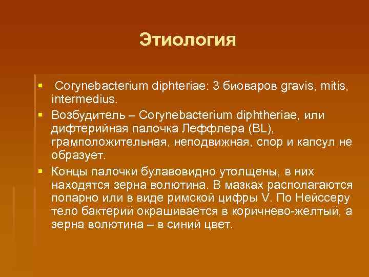 Этиология § Corynebacterium diphteriae: 3 биоваров gravis, mitis, intermedius. § Возбудитель – Соrynеbacterium diphtheriae,