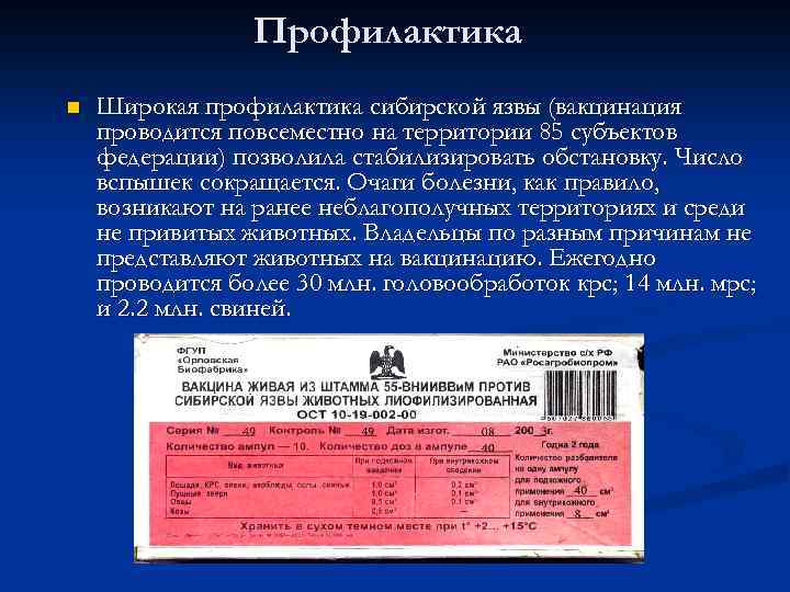 Профилактика n Широкая профилактика сибирской язвы (вакцинация проводится повсеместно на территории 85 субъектов федерации)