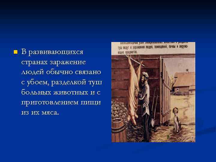 n В развивающихся странах заражение людей обычно связано с убоем, разделкой туш больных животных