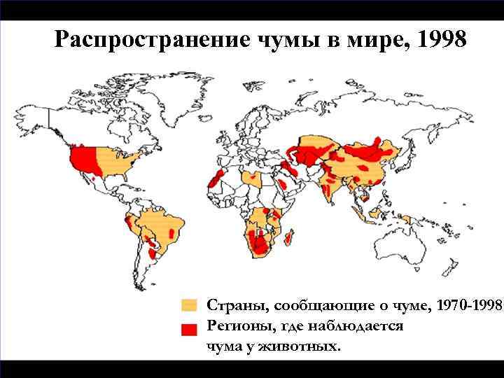 Распространение чумы в мире, 1998 Страны, сообщающие о чуме, 1970 -1998. Регионы, где наблюдается