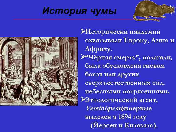 История чумы ØИсторически пандемии охватывали Европу, Азию и Африку. Ø“Чёрная смерть”, полагали, была обусловлена