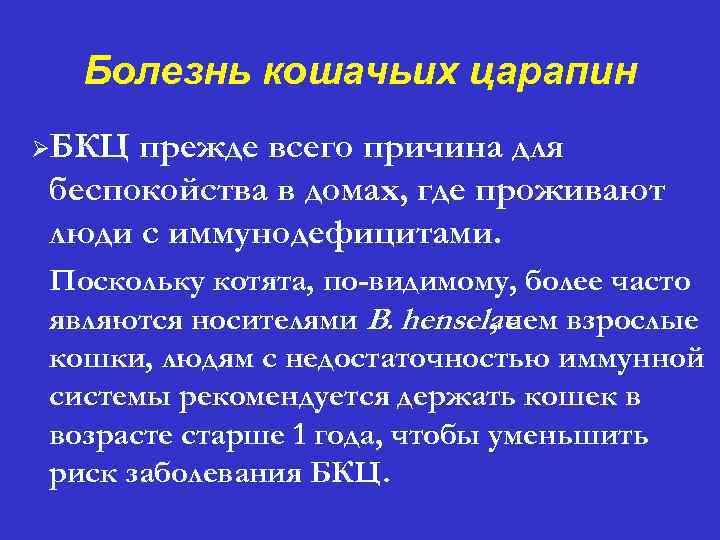 Болезнь кошачьих царапин ØБКЦ прежде всего причина для беспокойства в домах, где проживают люди