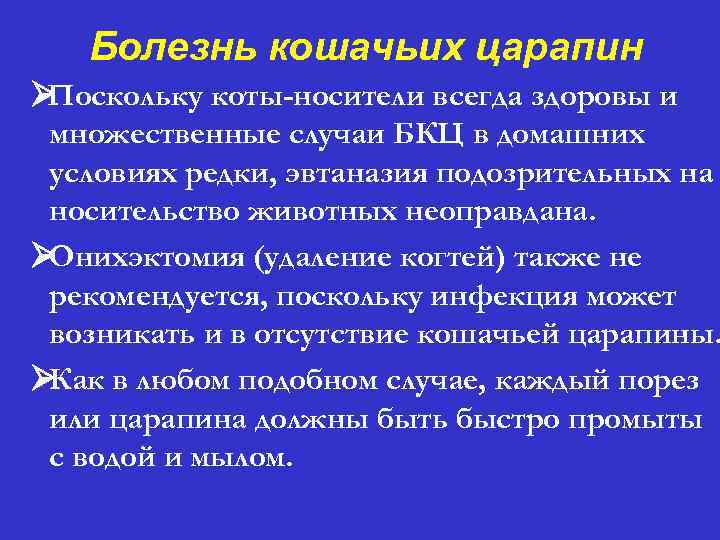 Болезнь кошачьих царапин Ø Поскольку коты-носители всегда здоровы и множественные случаи БКЦ в домашних