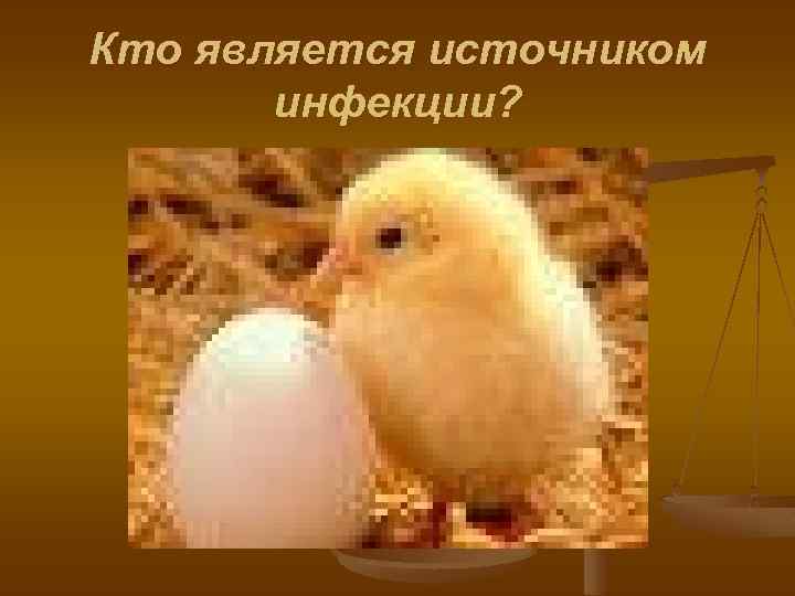 Кто является источником инфекции? 