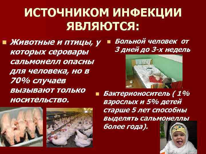 ИСТОЧНИКОМ ИНФЕКЦИИ ЯВЛЯЮТСЯ: n Животные и птицы, у n Больной человек от 3 дней