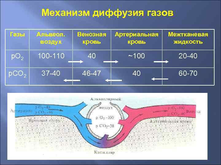 Механизм диффузия газов Газы Альвеол. воздух Венозная кровь Артериальная кровь Межтканевая жидкость р. О