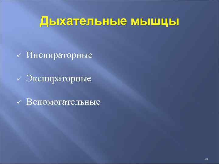 Дыхательные мышцы ü Инспираторные ü Экспираторные ü Вспомогательные 20 