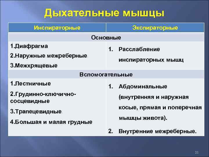 Мышцы дыхания. Экспираторные дыхательные мышцы. Основные дыхательные мышцы. Главные и вспомогательные дыхательные мышцы. Дыхательные мышцы таблица.