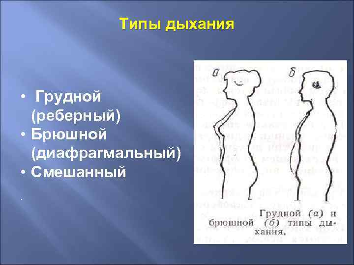 Типы дыхания • Грудной (реберный) • Брюшной (диафрагмальный) • Смешанный . 