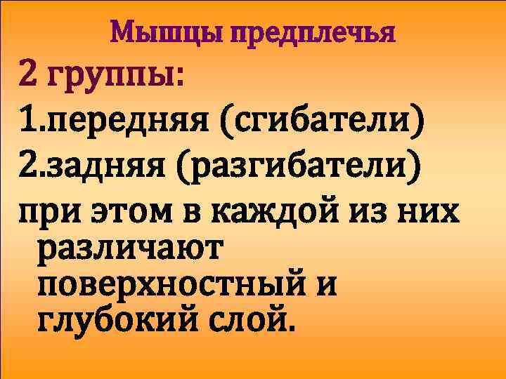 Мышцы предплечья 2 группы: 1. передняя (сгибатели) 2. задняя (разгибатели) при этом в каждой