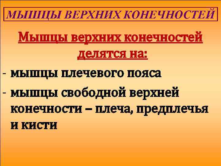 МЫШЦЫ ВЕРХНИХ КОНЕЧНОСТЕЙ Мышцы верхних конечностей делятся на: - мышцы плечевого пояса - мышцы