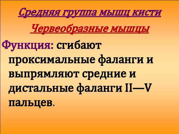 Средняя группа мышц кисти Червеобразные мышцы Функция: сгибают проксимальные фаланги и выпрямляют средние и