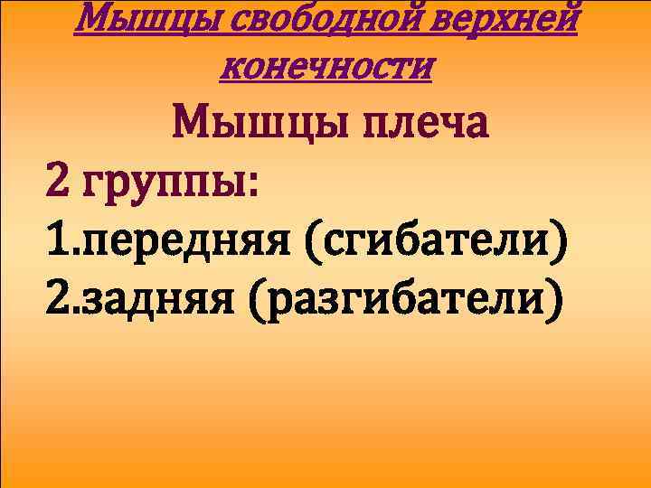 Мышцы свободной верхней конечности Мышцы плеча 2 группы: 1. передняя (сгибатели) 2. задняя (разгибатели)