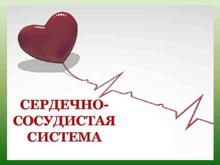 СЕРДЕЧНОСОСУДИСТАЯ СИСТЕМА 