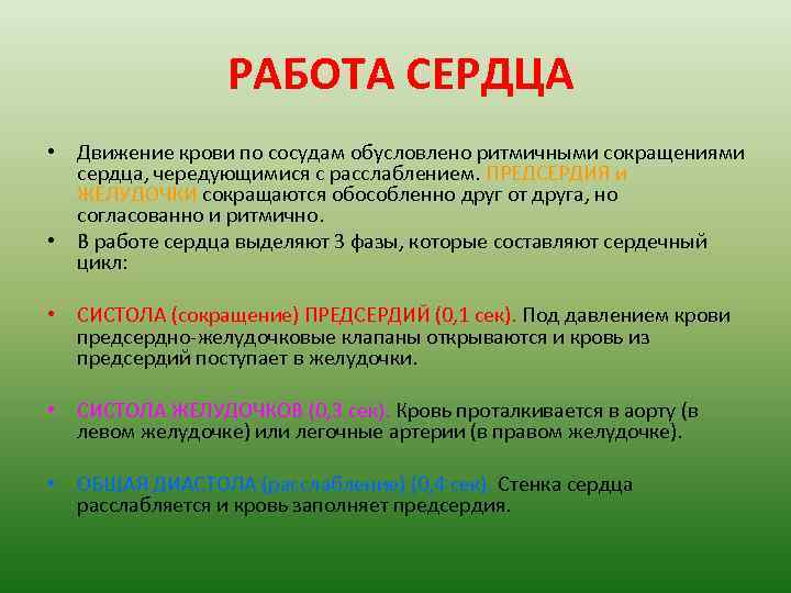 РАБОТА СЕРДЦА • Движение крови по сосудам обусловлено ритмичными сокращениями сердца, чередующимися с расслаблением.
