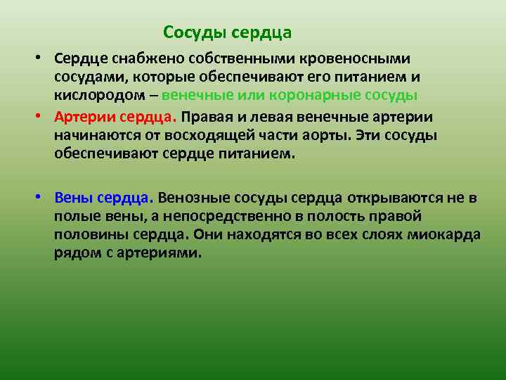 Сосуды сердца • Сердце снабжено собственными кровеносными сосудами, которые обеспечивают его питанием и кислородом