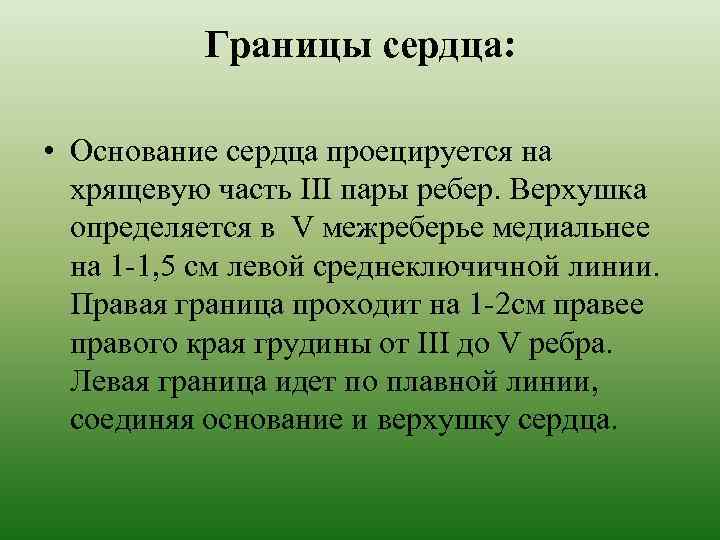 Границы сердца: • Основание сердца проецируется на хрящевую часть III пары ребер. Верхушка определяется