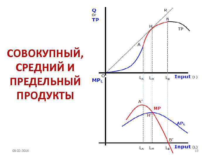 СОВОКУПНЫЙ, СРЕДНИЙ И ПРЕДЕЛЬНЫЙ ПРОДУКТЫ 09. 02. 2018 13 