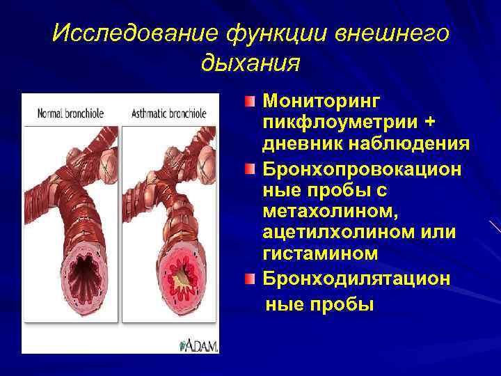 Исследование функции внешнего дыхания Мониторинг пикфлоуметрии + дневник наблюдения Бронхопровокацион ные пробы с метахолином,