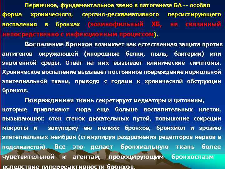 Первичное, фундаментальное звено в патогенезе БА -- особая форма хронического, воспаления в бронхах серозно-десквамативного