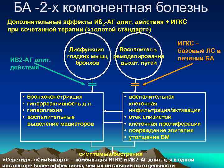 БА -2 -х компонентная болезнь Дополнительные эффекты Иß 2 АГ длит. действия + ИГКС