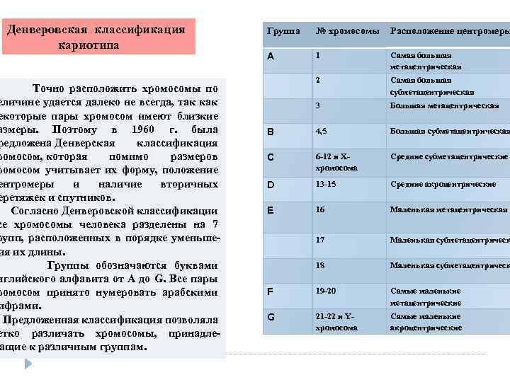 Денверовская классификация кариотипа Точно расположить хромосомы по еличине удается далеко не всегда, так как