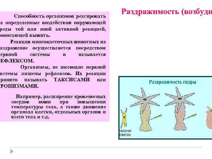  Способность организмов реагировать на определенные воздействия окружающей реды той или иной активной реакцией,