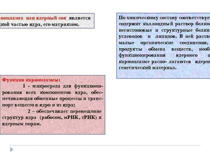 риоплазма или ядерный сок является дкой частью ядра, его матриксом. Функции кариоплазмы: 1 микросреда