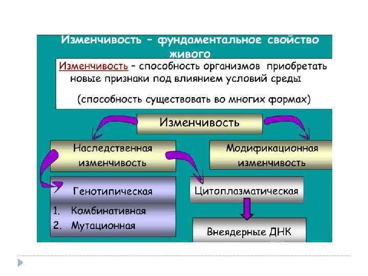 Какое свойство живого иллюстрирует данная схема