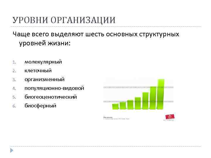 УРОВНИ ОРГАНИЗАЦИИ Чаще всего выделяют шесть основных структурных уровней жизни: 5. молекулярный клеточный организменный