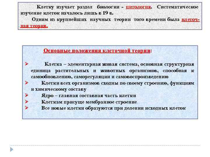  Клетку изучает раздел биологии цитология. Систематическое изучение клеток началось лишь в 19 в.