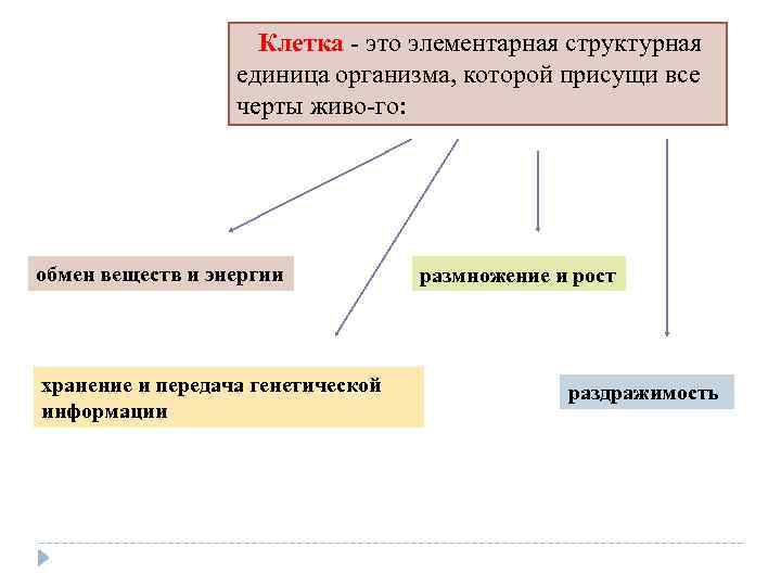 Клетка это элементарная структурная единица организма, которой присущи все черты живо го: обмен веществ