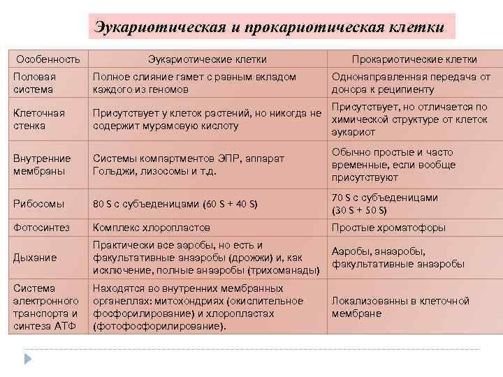 Эукариотическая и прокариотическая клетки Особенность Эукариотические клетки Прокариотические клетки Половая система Полное слияние гамет