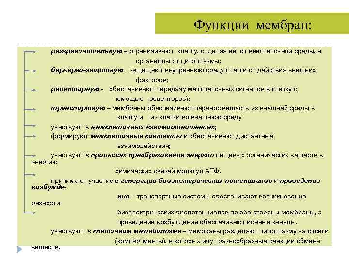  Функции мембран: разграничительную – ограничивают клетку, отделяя её от внеклеточной среды, а органеллы