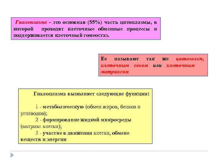  Гиалоплазма это основная (55%) часть цитоплазмы, в которой проходят клеточные обменные процессы и