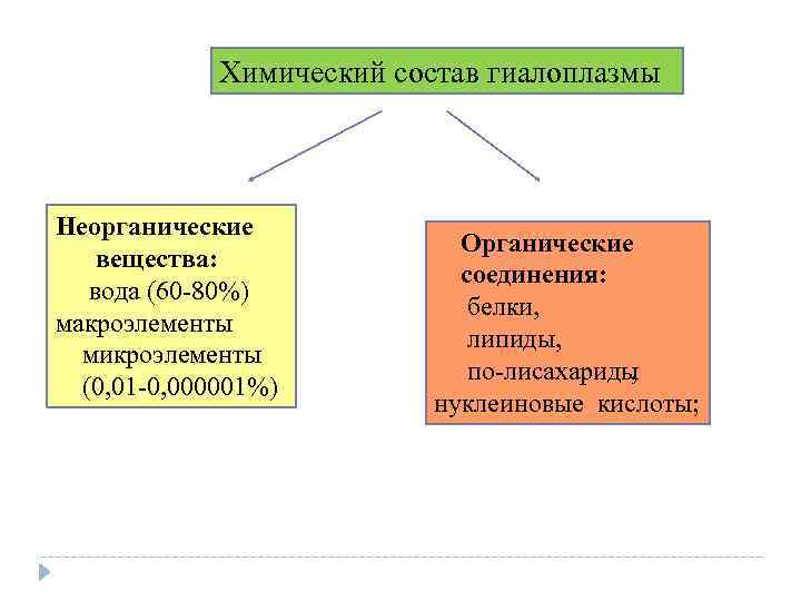 Химический состав гиалоплазмы Неорганические вещества: вода (60 80%) макроэлементы микроэлементы (0, 01 0, 000001%)