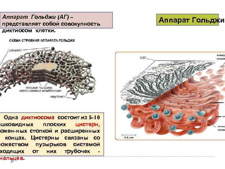 Стопка плоских цистерн